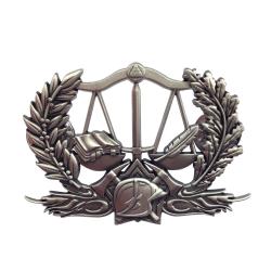 Insigne PRV2 (ARGENT)