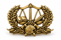 Insigne préventionniste PRV3 or